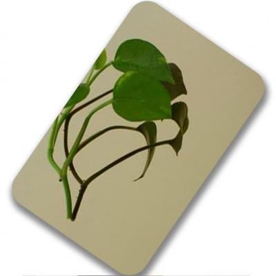 MIRROR SSC_MI02 MIRROR SSC_MI02